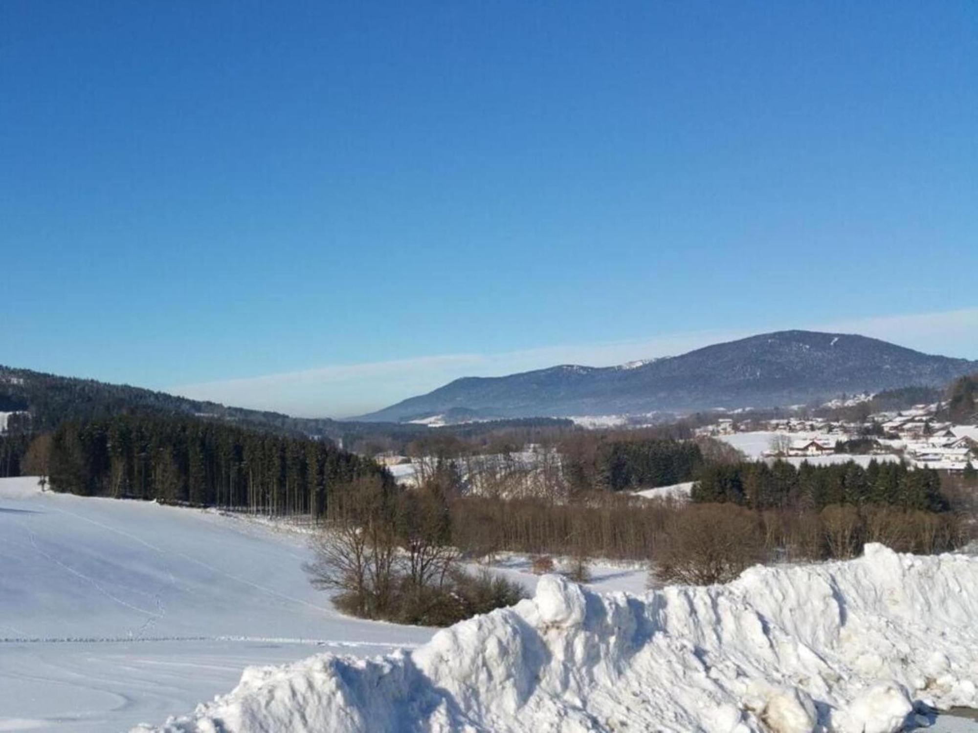 Apartment In The Bavarian Forest With Balcony Drachselsried Zewnętrze zdjęcie