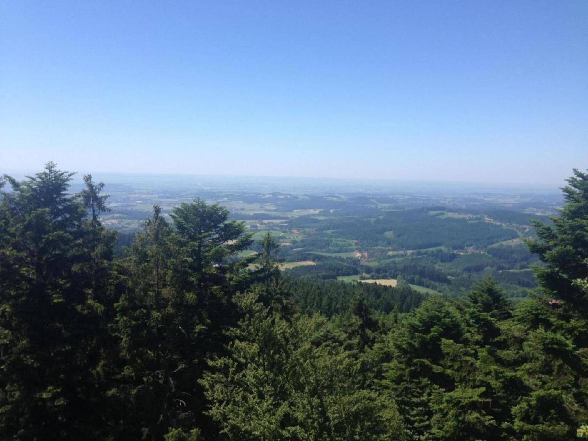 Apartment In The Bavarian Forest With Balcony Drachselsried Zewnętrze zdjęcie